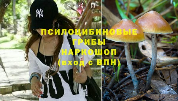Альфа ПВП Михайловск